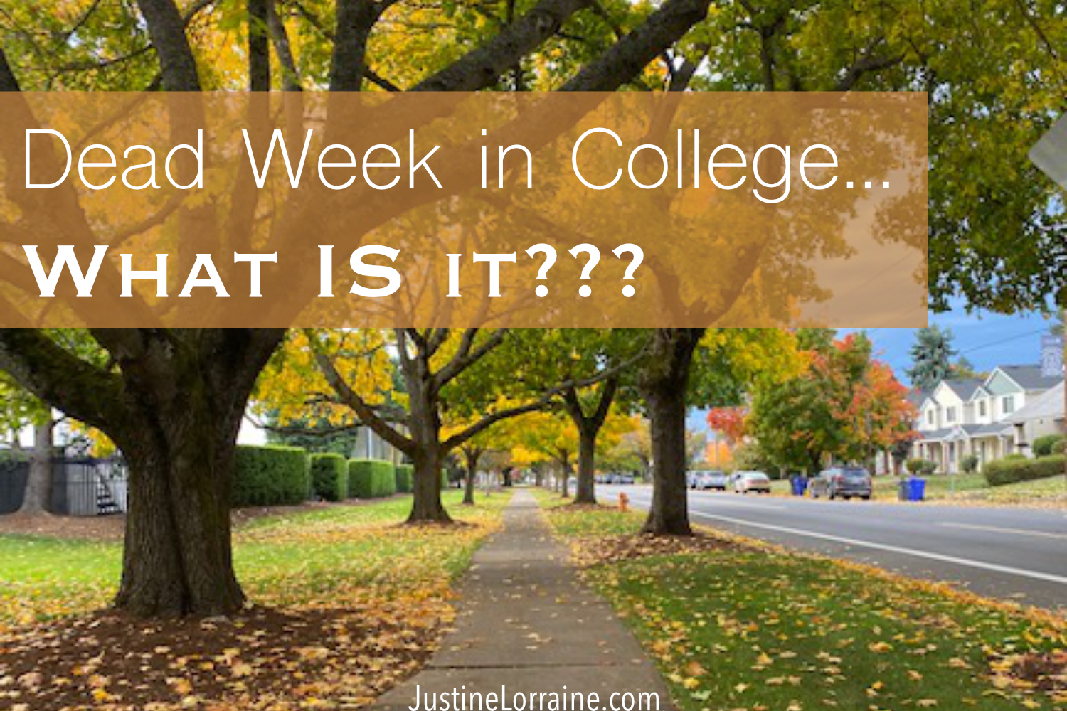 Dead Week in College, What is it?